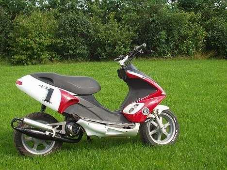 Benelli 491 ¤Solgt¤ billede 2