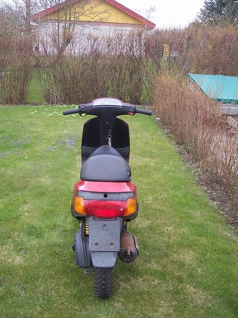 Piaggio ZIP billede 2