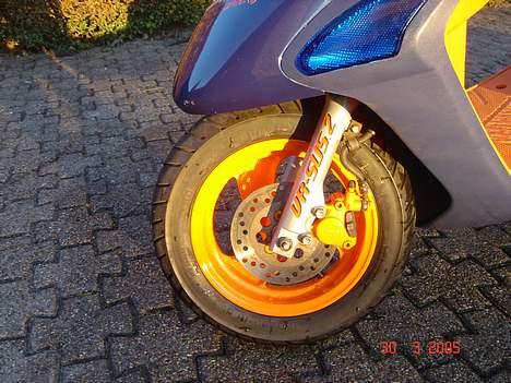Honda SFX Repsol billede 5