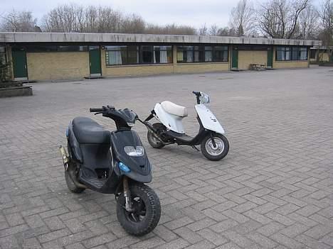 Gilera stalker byttet til jog billede 5
