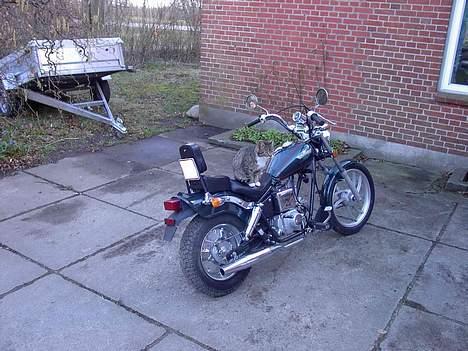 Jensen Chopper >SOLGT< - åndsvage kat, den sætter sig på en hver knallert der holder i nærheden :-( billede 2