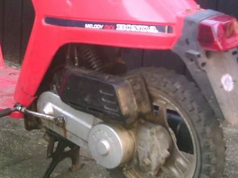 Honda Melody billede 1