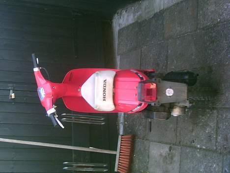 Honda Melody billede 2