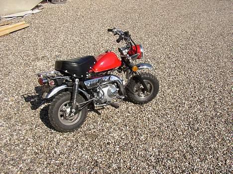 Jincheng Monkey    Solgt billede 2