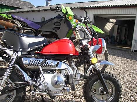 Jincheng Monkey    Solgt billede 8