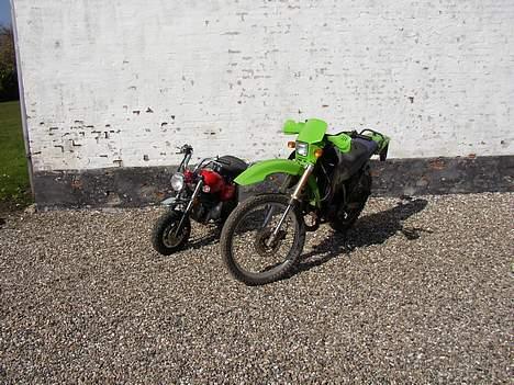 Jincheng Monkey    Solgt - Rmx r til salg gi et bud billede 6