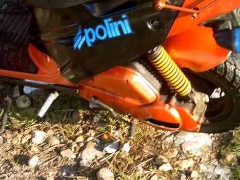 PGO hot 50 billede 6