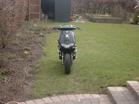 Gilera Runner *solgt* billede 1