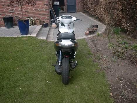 Gilera Runner *solgt* billede 2
