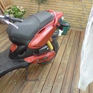 PGO Pmx naked