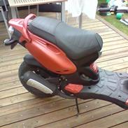PGO Pmx naked