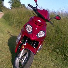 Baotian Flextech Topspeed