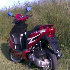 Baotian Flextech Topspeed