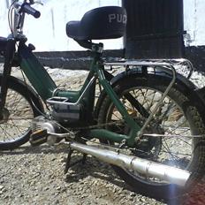 Puch Maxi P   | Før |