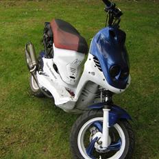 PGO pmx sport hverdags ged :b