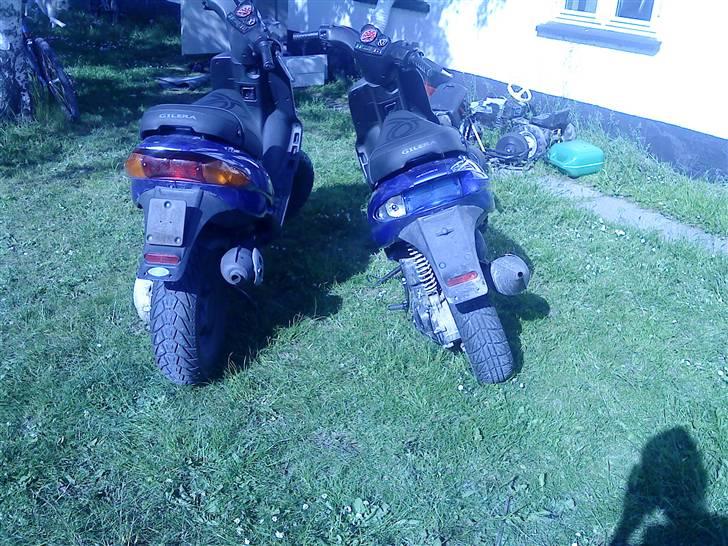 Gilera stalker storsøster solgt? billede 8