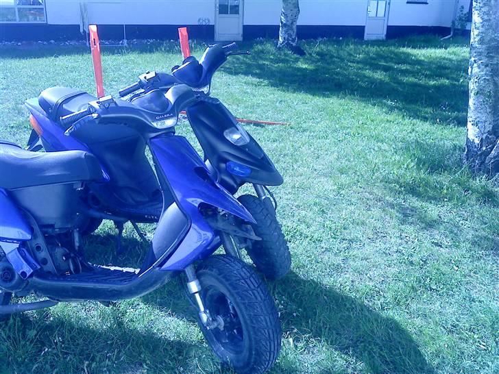 Gilera stalker storsøster solgt? billede 11