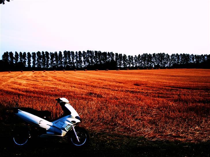 Gilera runner LC DD   billede 5