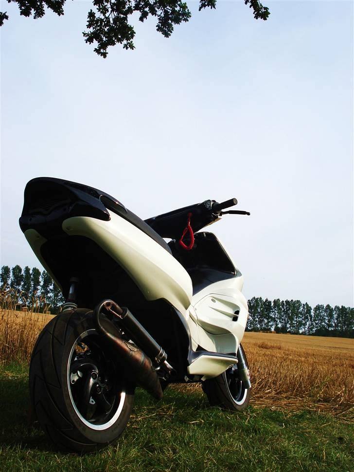 Gilera runner LC DD   billede 8