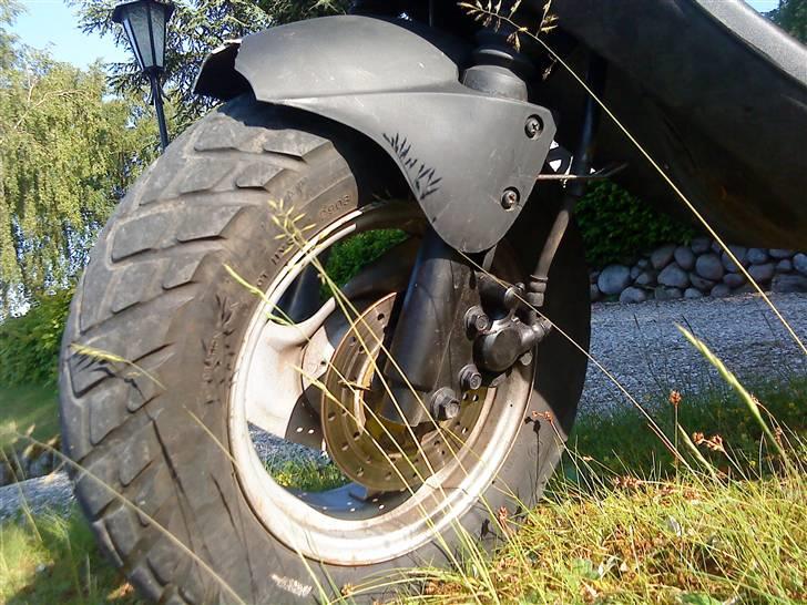 PGO Hot 50 billede 6