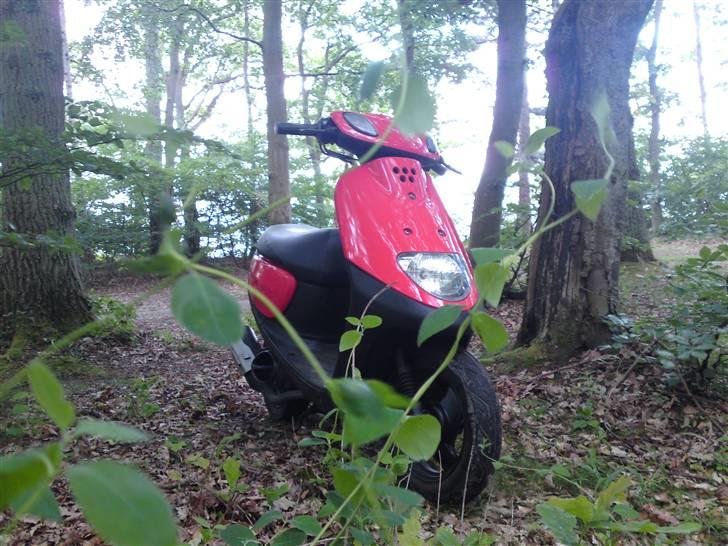 Yamaha Space billede 15