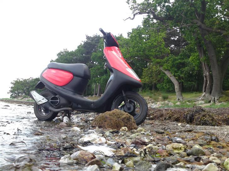 Yamaha Space billede 16