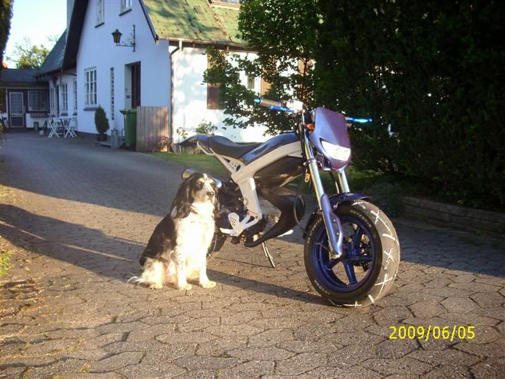 Suzuki Street magic SOLGT :'( billede 16