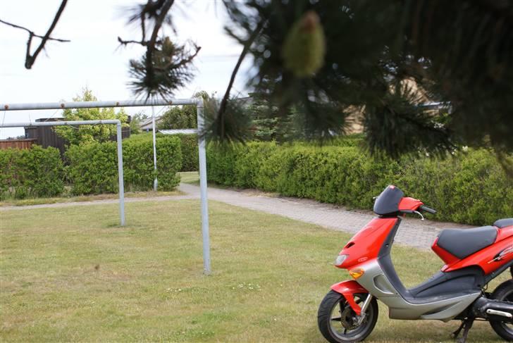 Aprilia Sr50 billede 8