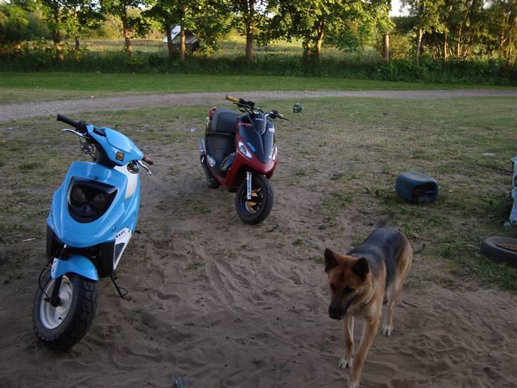 PGO Galaxy -SOLGT- billede 11