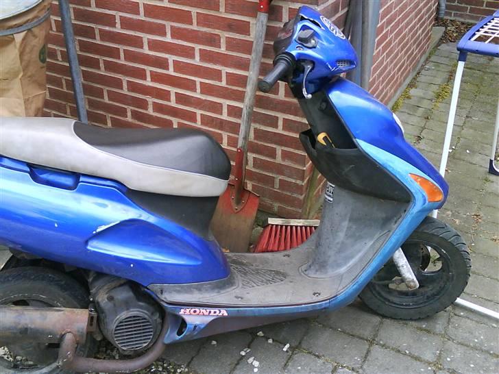 Honda sfx bytte til rally rox billede 1