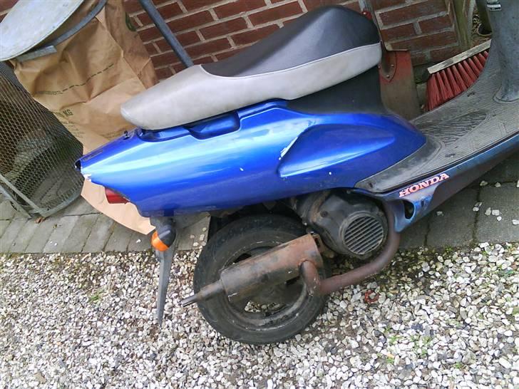 Honda sfx bytte til rally rox billede 2