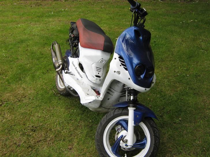 PGO pmx sport hverdags ged :b billede 2