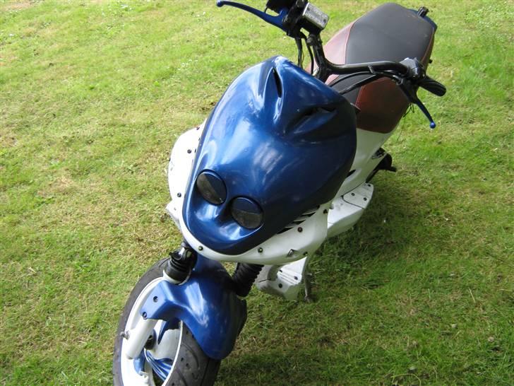 PGO pmx sport hverdags ged :b billede 6