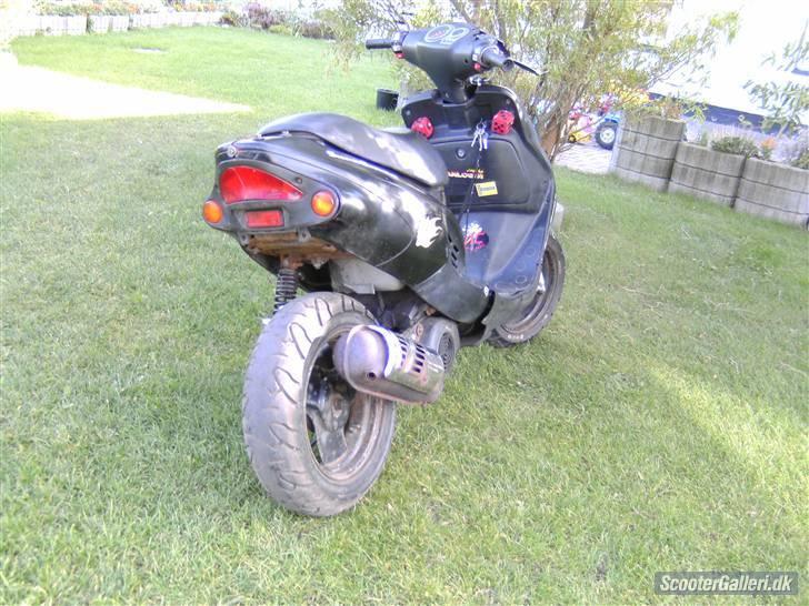 Kreidler easy rider (Byttet) - knap til neon billede 2