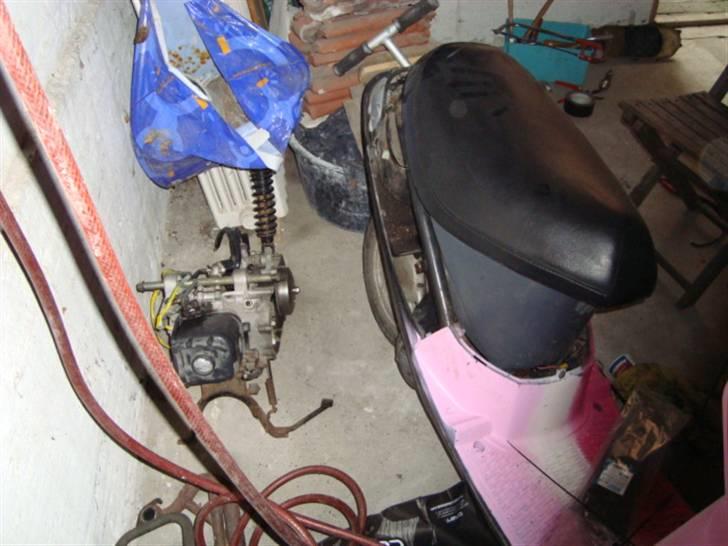 PGO Comet "DYRET" billede 6