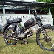 Puch MS50/Monza SOLGT .