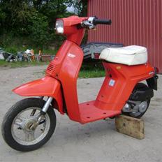 Honda melody - SOLGT