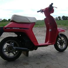 Honda melody - SOLGT