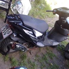 PGO T-REX 110CCM er solgt