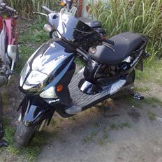 PGO T-REX 110CCM er solgt