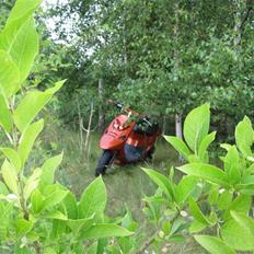 PGO Comet (Fanta´en)