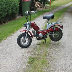 Benelli Motorella-GL  (Har Den)