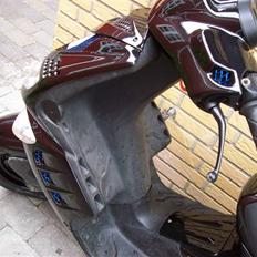 Peugeot speedfight 2 (SOLGT)