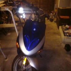 Adly   Hebo silverfox