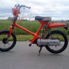 Honda express sprinterprojekt 