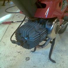 Puch Maxi P1 "SOLGT"