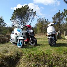 Piaggio Zip muggen stel