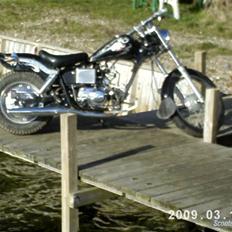 Regal Raptor **solgt**