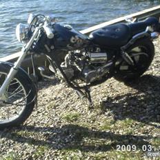 Regal Raptor **solgt**