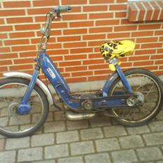 Piaggio Ciao (SOLGT)